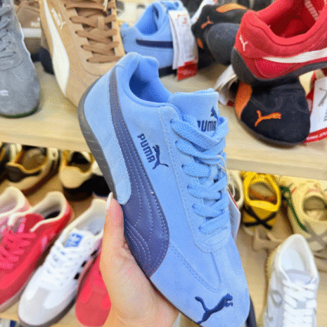 puma tsenher puma tsenher